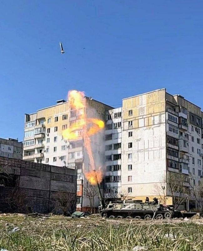 «Тюльпаны» на Украине