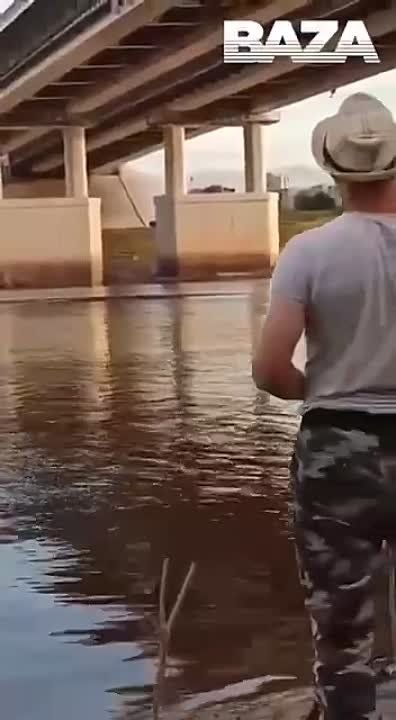 Двое жителей Тюмени с криком «За ВДВ» прыгнули с моста