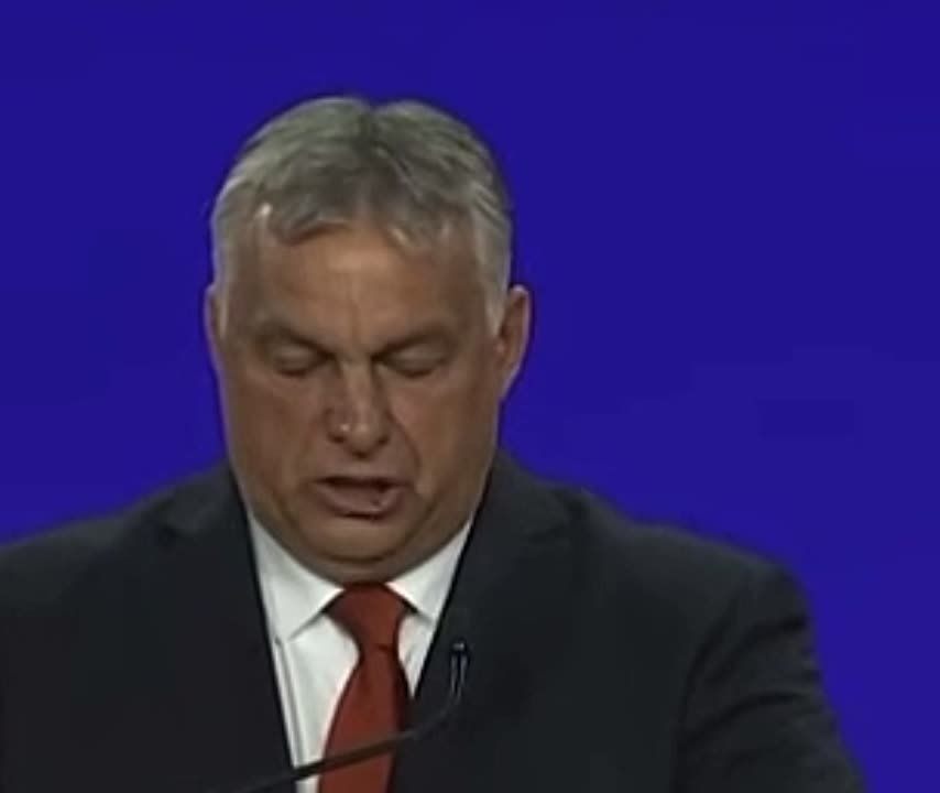 «Мы решили, что нам не нужно больше гендеров, а нужно больше рейнджеров