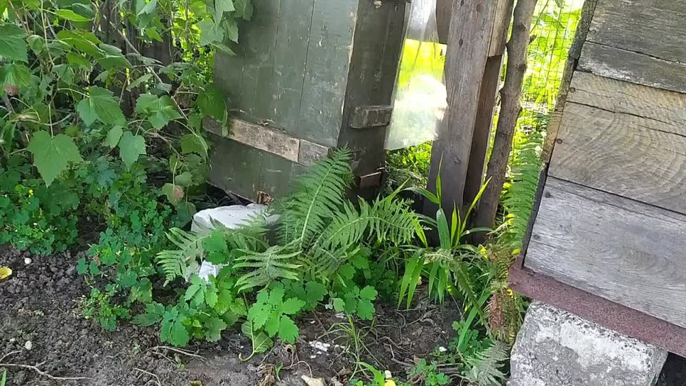 ���������-���������.. �� ����������� �������� � ������ ��������� ��������� ������ ���� � ������, ��������� ���� ������....