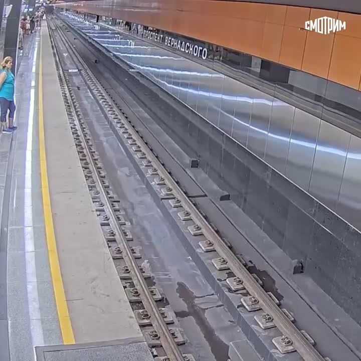 Спрыгнувшего на платформу московского метро мужчину оштрафовали на 20 тысяч рублей