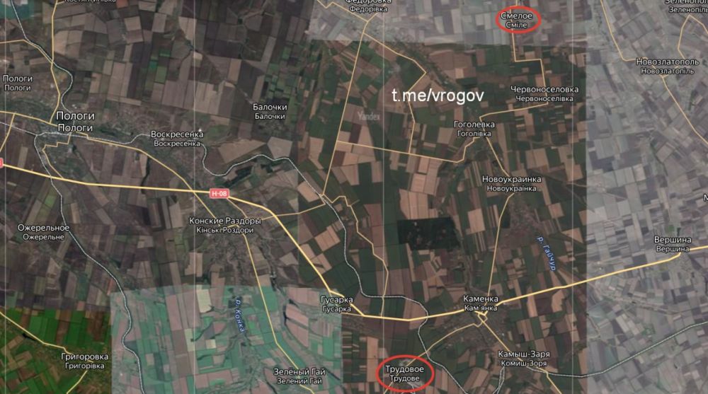 Сводки с Запорожской ЛБС