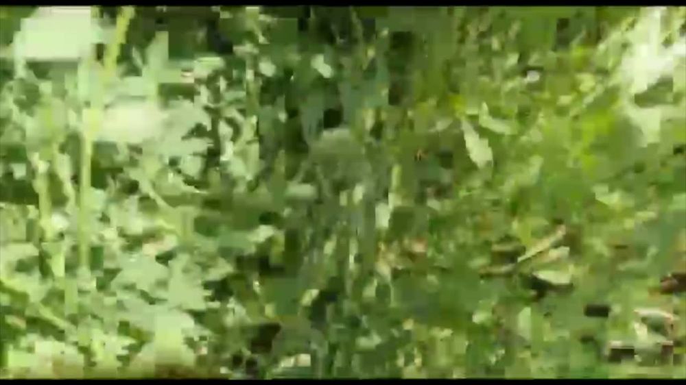 Что видит лётчик, когда его самолёт сбивает ракета?