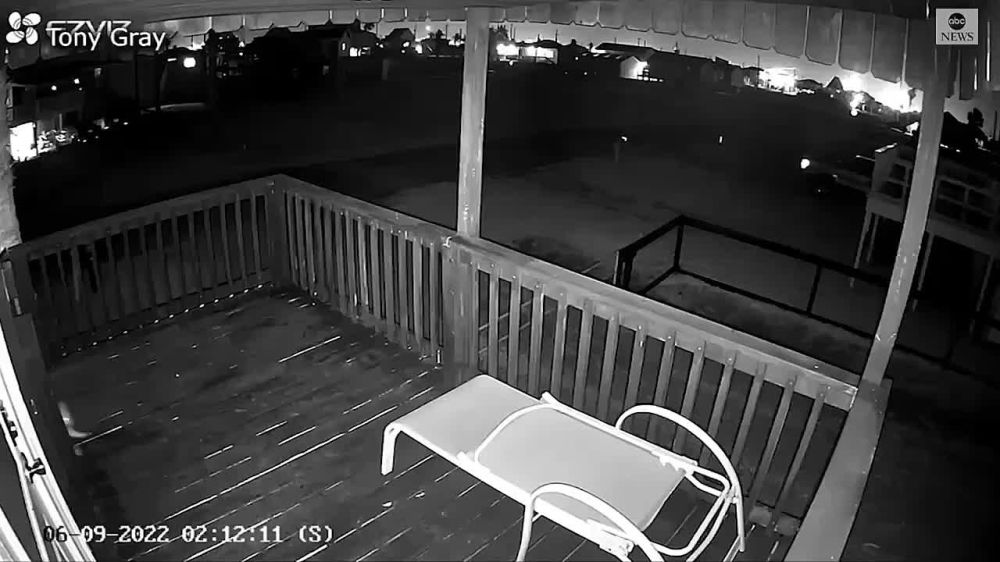 Смелый техасский кот сумел достойно отбиться от койота и спасти свою жизнь