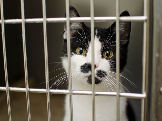 ����� ��� � ������������� ������ ��� ��������: ��������� �������������� �� ��� ��� ���