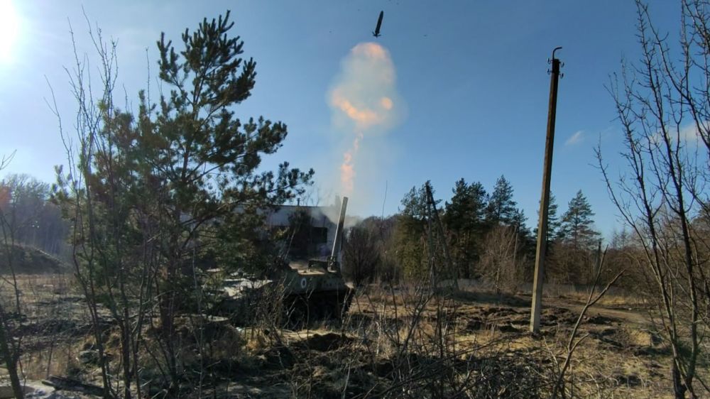 Работа 240-мм самоходного миномета 2С4 «Тюльпан» корректируемой миной «Смельчак» по позициям ВСУ