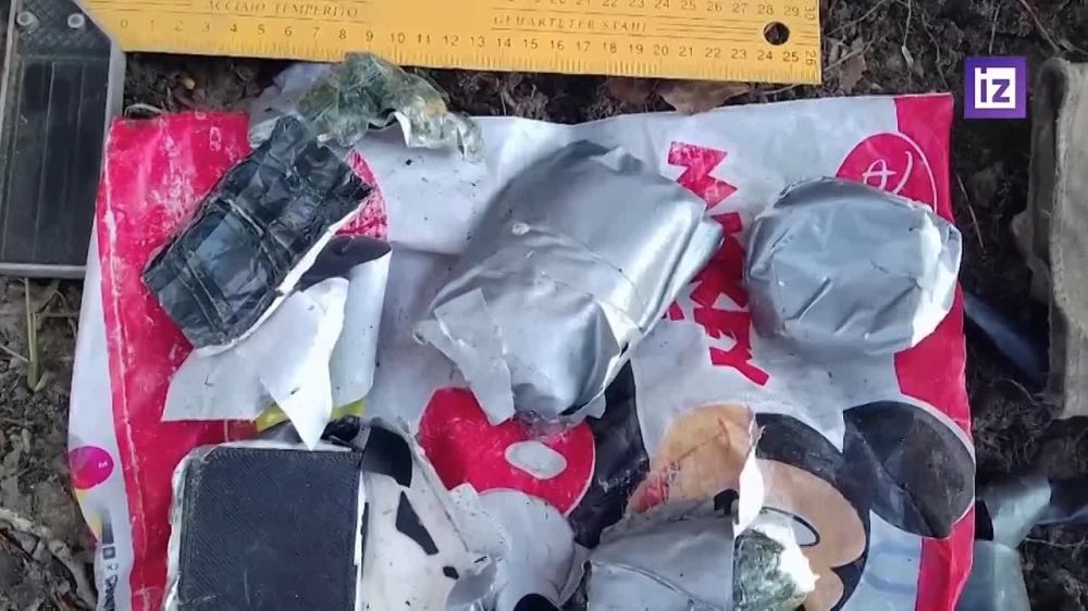 ФСБ РФ пресечен террористический акт в отношении одного из руководителей Запорожской АЭС