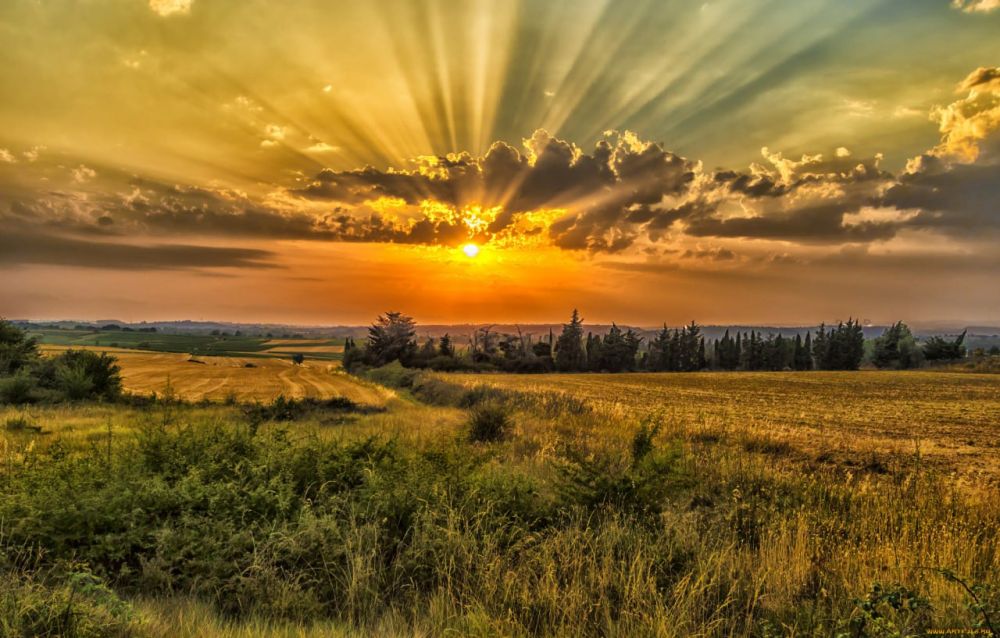 ������ ����!. ������ �������: