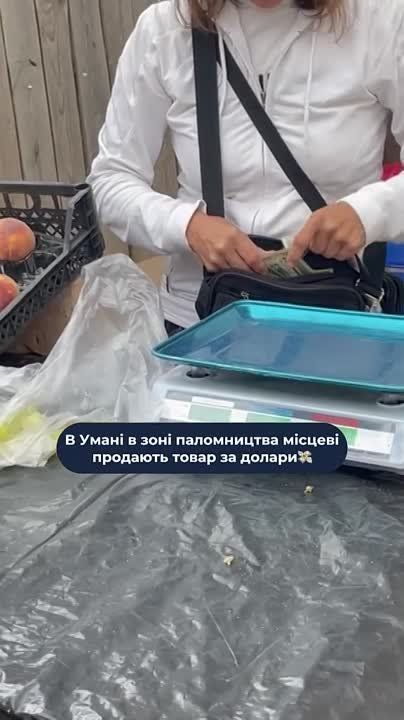 Пока все обсасывали распиаренное сдуру на весь мир украинским МИДом скандальное фото из Умани, на котором хасид целует шеврон фейуового азовца, в самой Умани в связи с нашествием еврейских паломников настала традиционная страда – баблокос