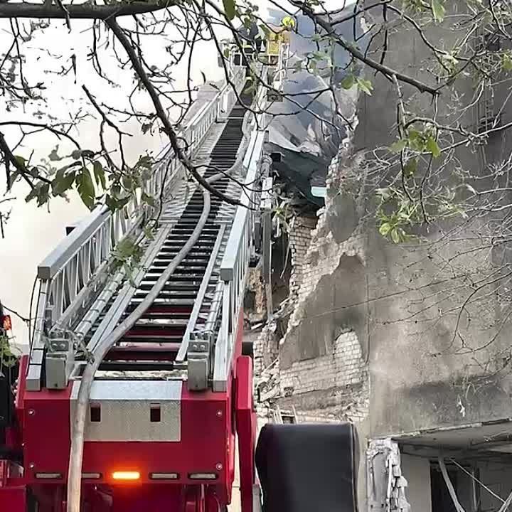 ����� ���� ����� ������ ���������� � ��������� ����� �� ������ �������������� �������� �������