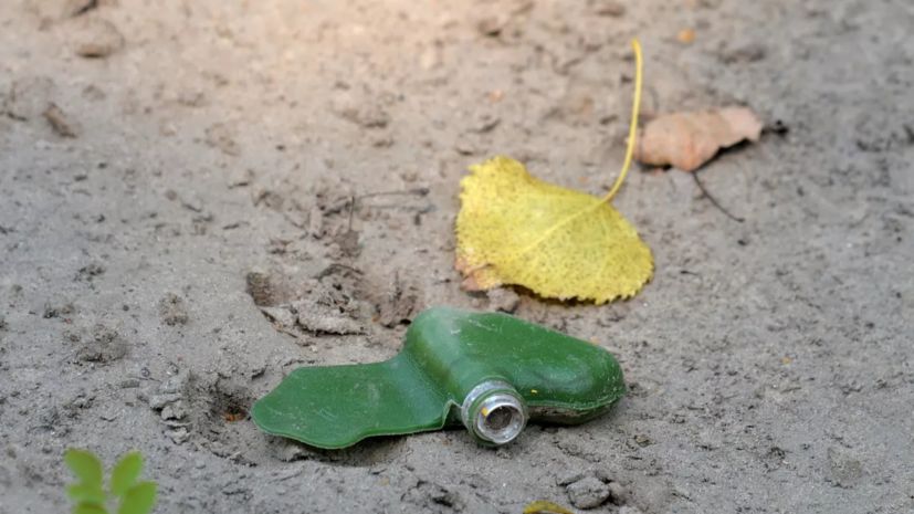 ���������: ������ �������� ������� ������� ��� ������� �� ����-��������