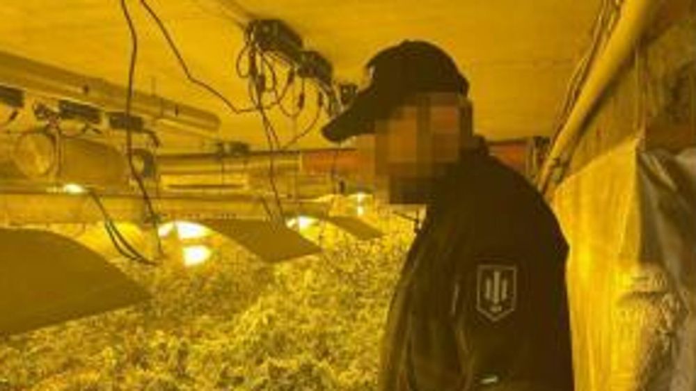 ������ ������� 500 ����� ��������. �� ������� ��������� ����� ��������������