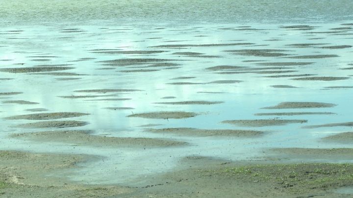 ������������� ������������� �������� ��������