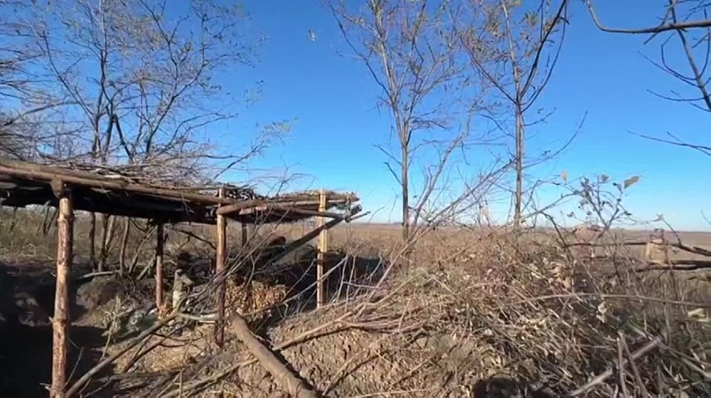 �� ����-�������� ����������� ������������� ����������� ����� ������� �� �������������� � �������� � ����������� �������� ����� ��������� ������ � ������ �������� ��� � �������� ��������� �� ��������� ����