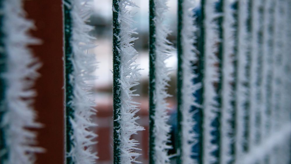 � ��������� ������� ������ ������ ������ 20-������ ��������