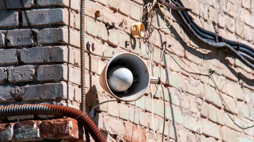 � ����� � ��� 11 �������� ������� �������� ��������� �������