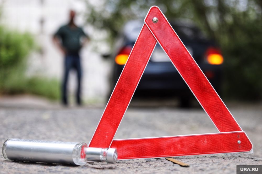 � ���������� ������ �������� ������� ����������� ���