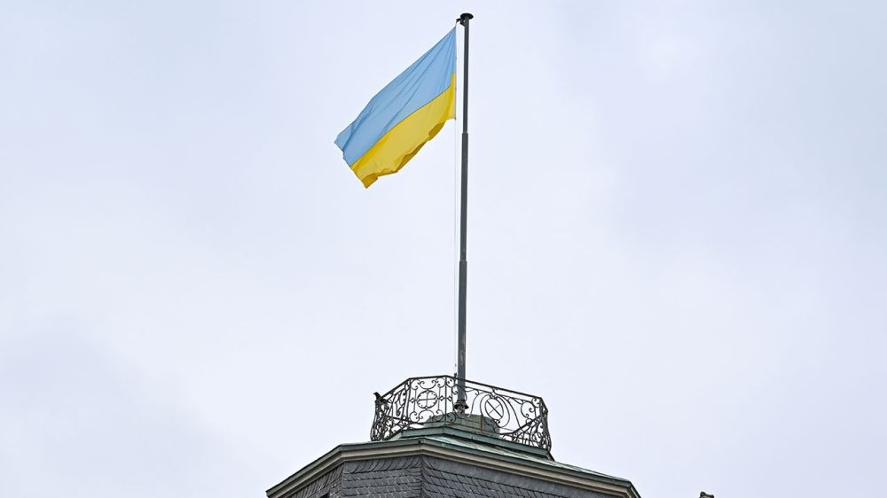 � 12 �������� ������� �������� ��������� �������