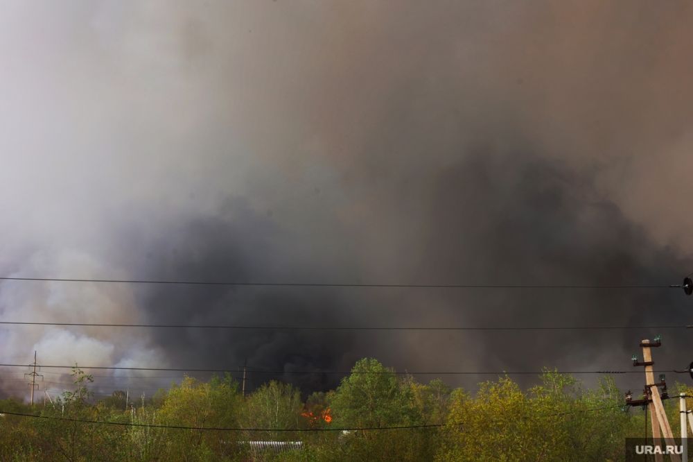 � ���������� ������� ������� �������� ������ ����������� ��������������