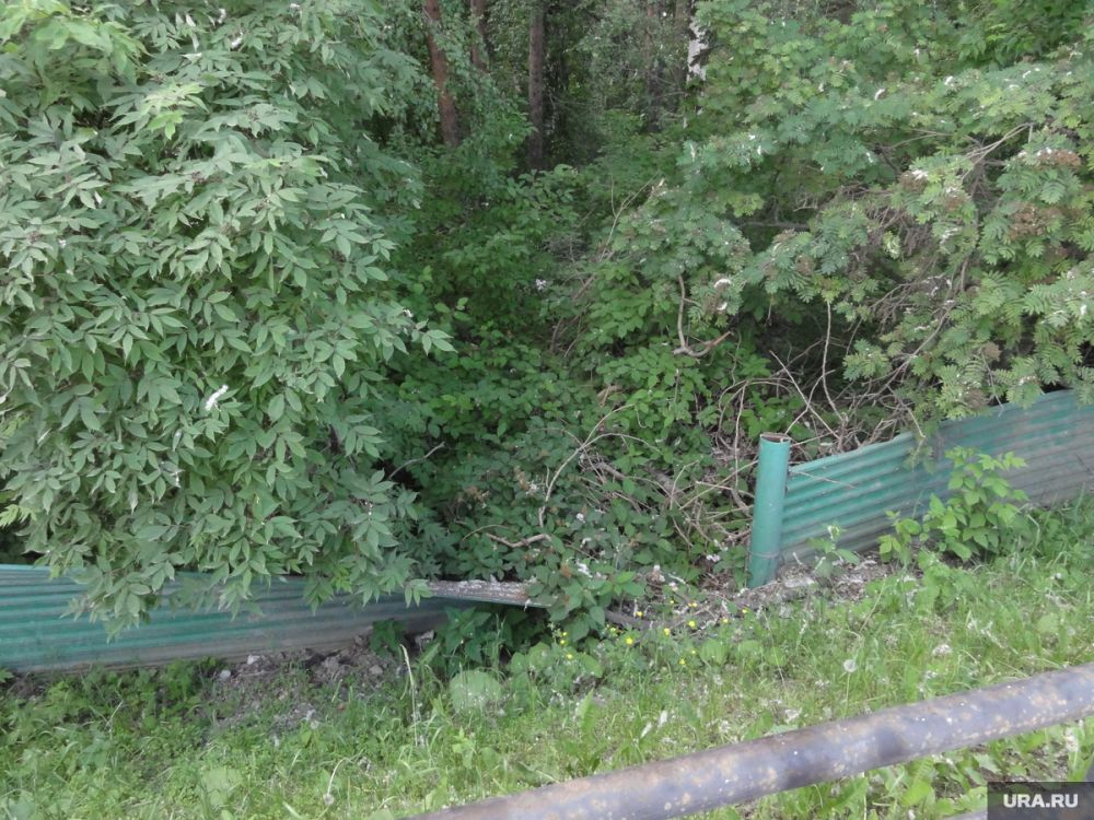 � ������������� ����� �������� ����� ����