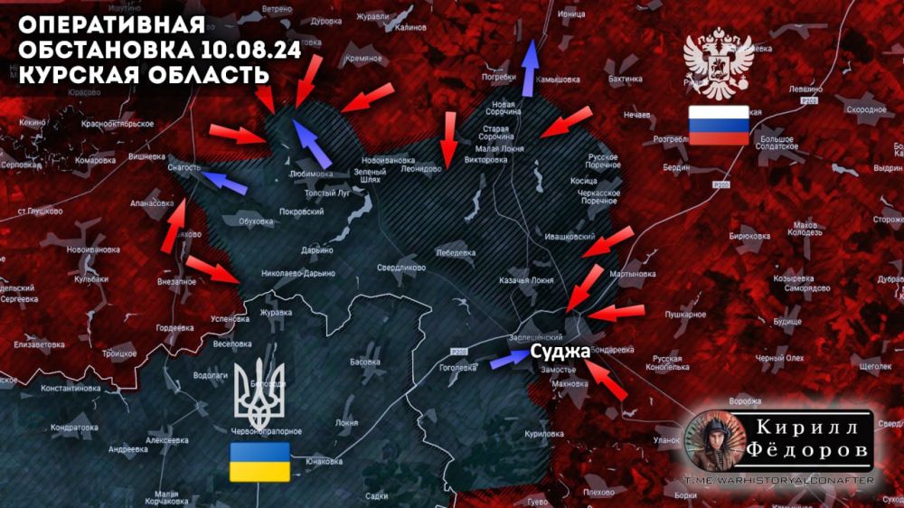 ������� �����������, 10.08.2024 20:30