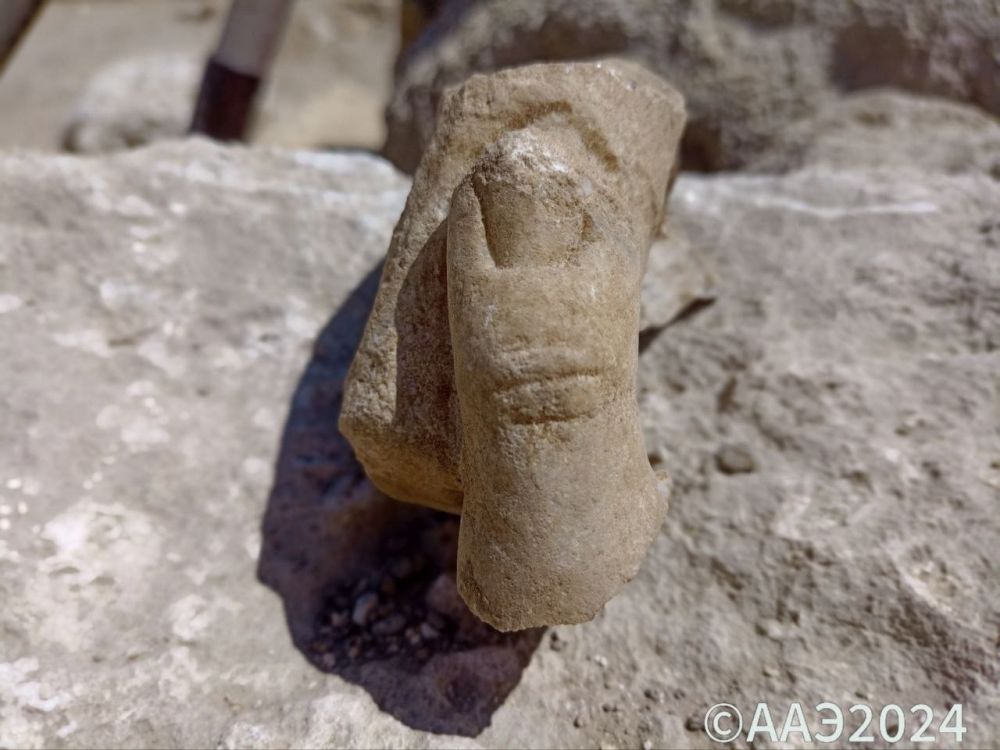 �� ��������� �������� �������� �������� ��� ������ ��������� ����� ��������� �����