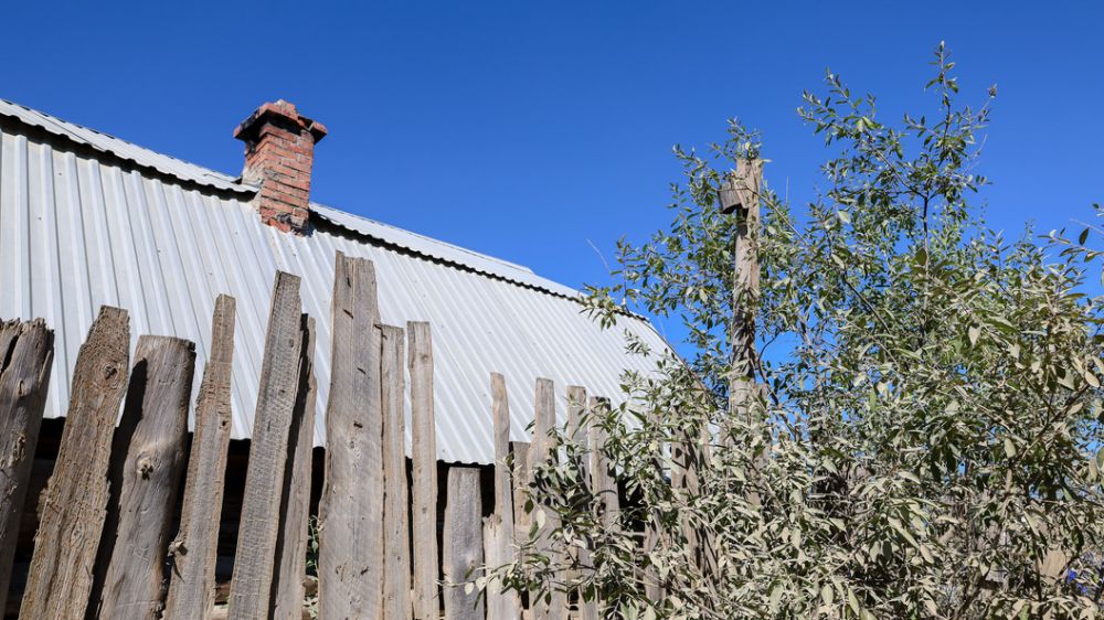 ��� �������� ���������, ������� ����� ��������: ������� ��� ��� ��������� � ���, ������ ��������