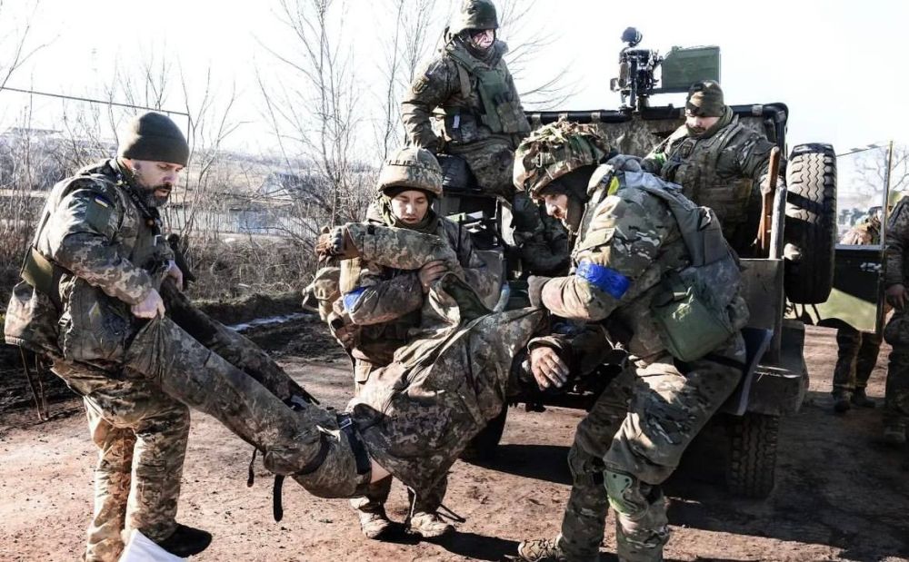 ���� �� ����� ���� � ������� ������� ������� ����� 33990 ��������������