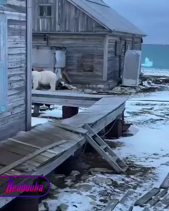  ,  !               
