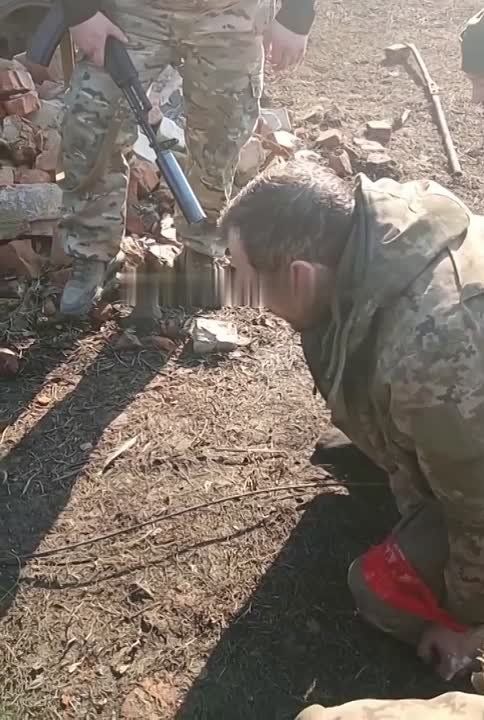  :  ,            