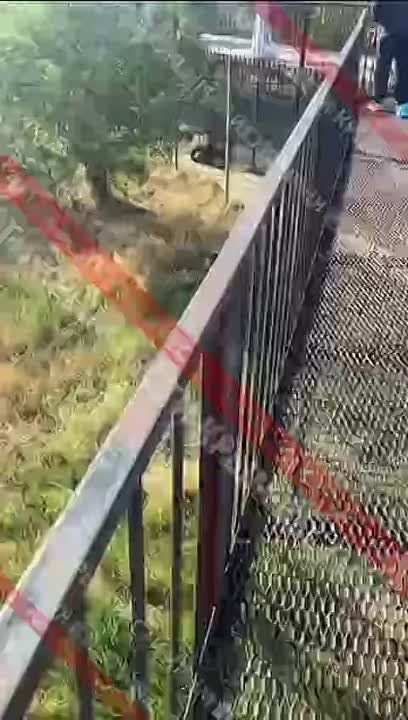   ,     ,  -  &quot;&quot;  ,      