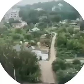           ( )
