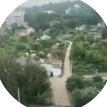           ( )