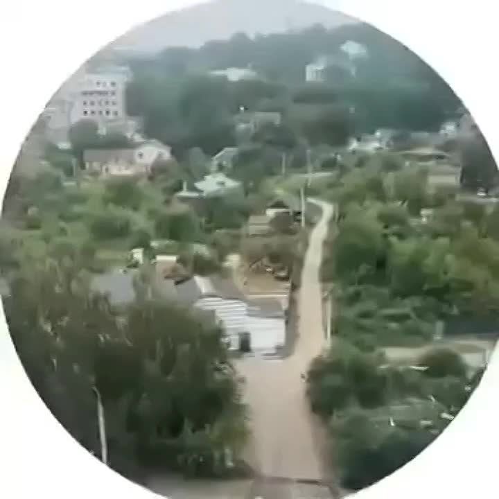  :       ""     ( ), ,    ,   