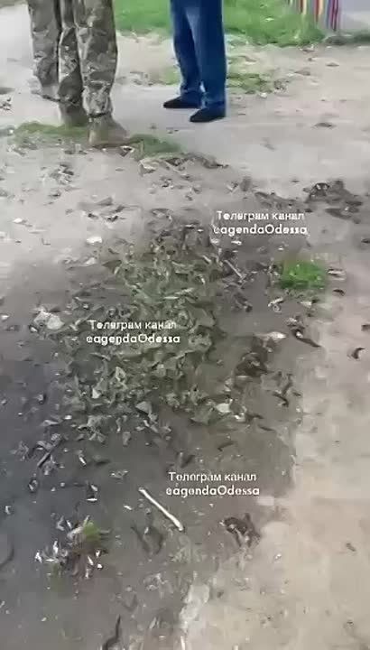     :    ,      