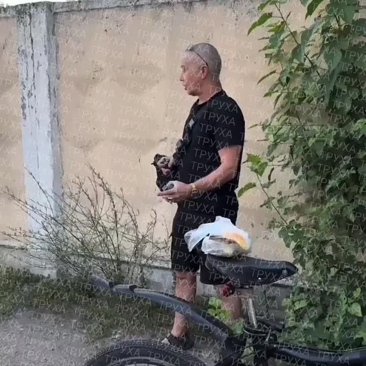     ,    