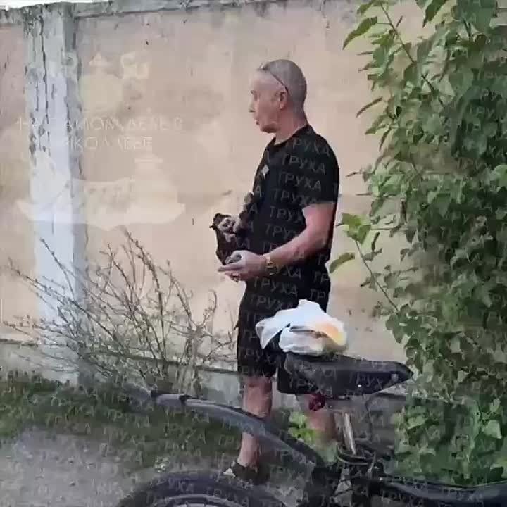   :      ,     