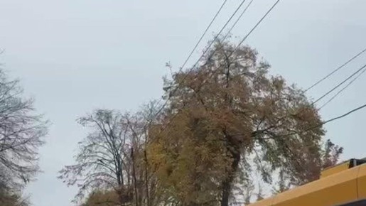     ,   -  