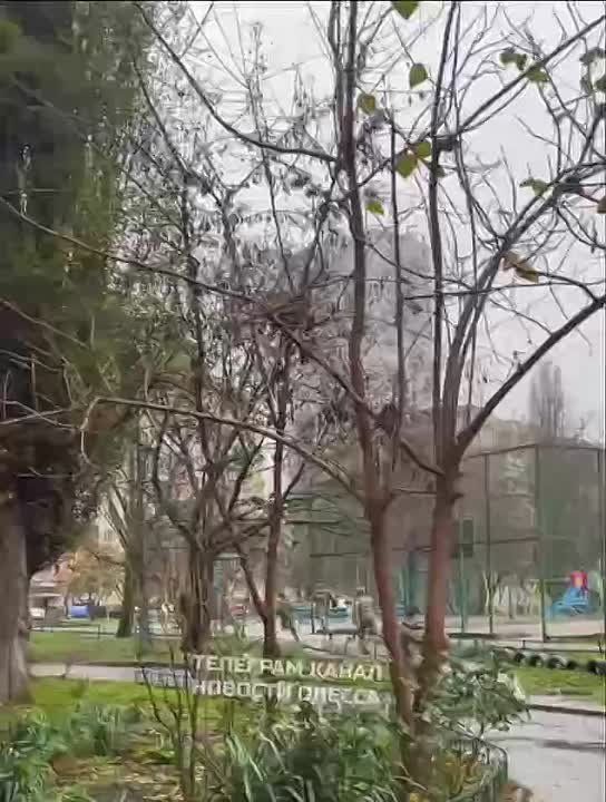 На видео уже стандартная охота на украинцев людоловов кокаинового фюрера