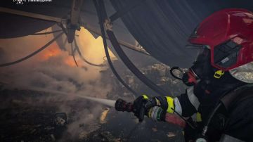 ����� �� ������� �������: � ���� �������� �������� �������