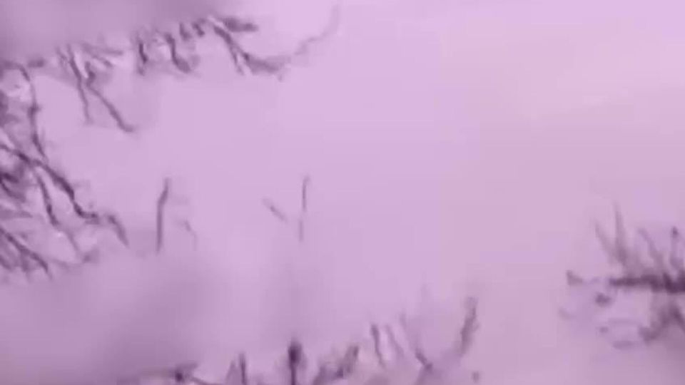 ����� ������� ������ � ���������� �������