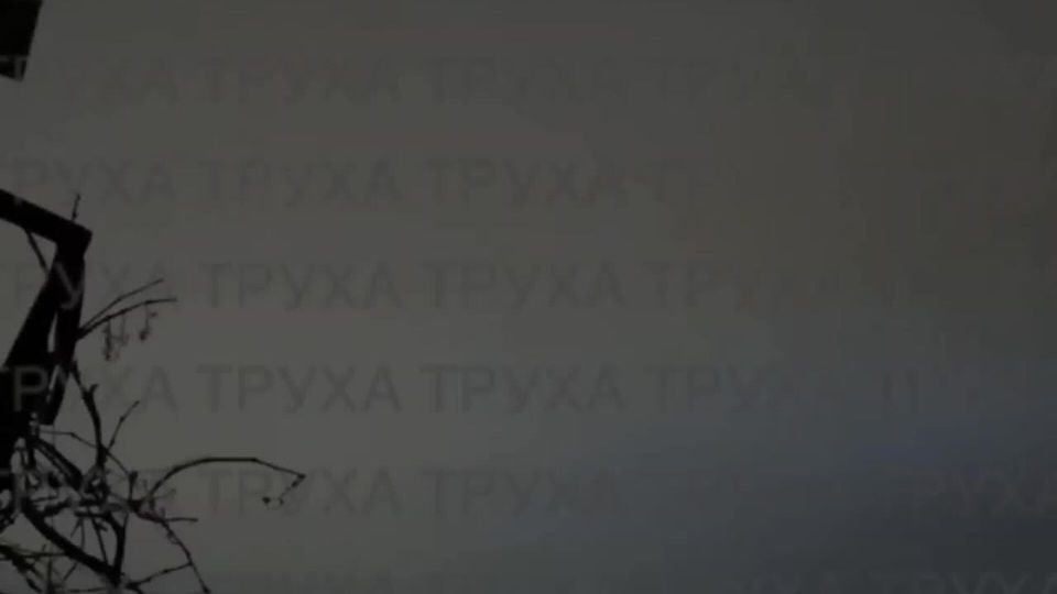 �������� ���� ������ �� ��� � ���������