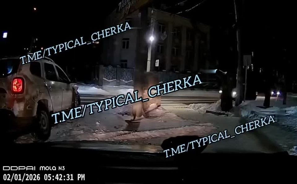 � ��������� ���������� ��� ��������� ������ � ������������, ����� ���� �������� ��� �����������