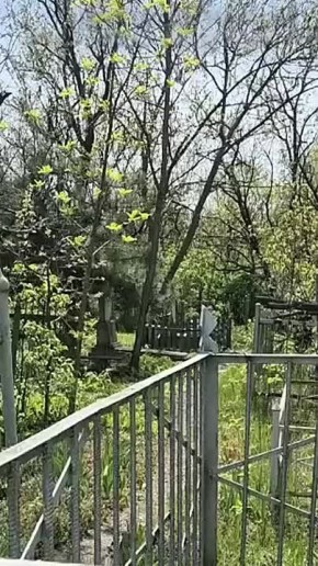 � ���������� ������� ������ ��������� �� ��������